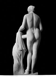 Images Dated 29th November 2017: Venus or Aphrodite Cnydia, copy of Praxiteles, The Pio-Clementino Museum, Vatican Museums