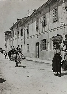View of Capodistria