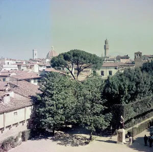 View of Florence