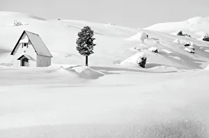 View of snowy mountain landscape with house and tree, Cortina d'Ampezzo