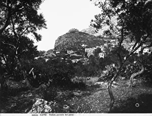 Mediterranean Landscape Images Prints: View of the town of Capri