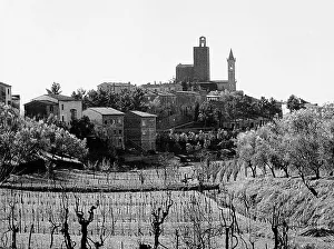 Botanical Garden Scenery Prints: View of Vinci
