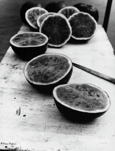 Watermelons