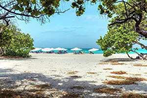 Leeward Islands Vacation Spot Prints: Aruba, Eagle beach scene