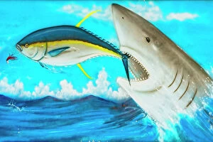 Gill Collection: Florida, The Keys, Islamorada, mural of shark chasing fish