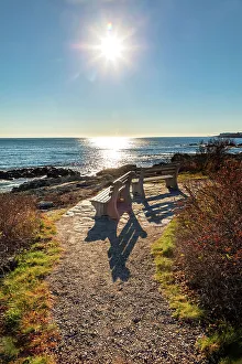 Ogunquit Marginal Way Trail Bench Print