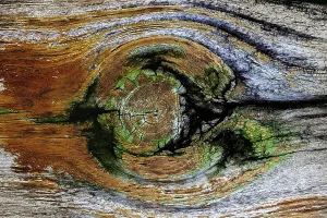 Wood Grain Pattern Prints: Pattern in wood