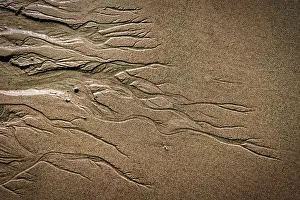 American Beach Scene Prints: Sand Water Pattern