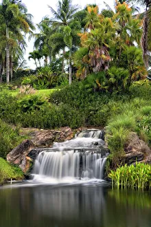 Tropical Waterfall Prints: Tropical waterfall