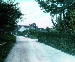 Bodensee Print: View of Reichenau Mittelzell