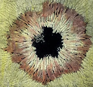 Solar System Images Prints: Vulkanismus