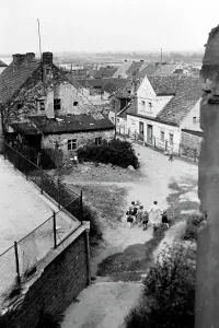Destroyed Lebus Print, Germany 1949