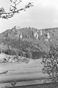 Black Forest Village Print, 1930s Germany