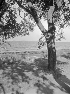 German Baltic Coast Prints: Danzig
