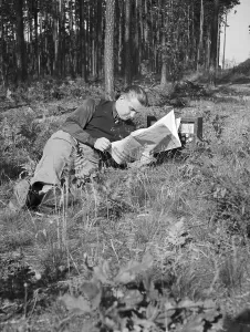 Print of a Young Man Reading in the Forest, Germany 1930s