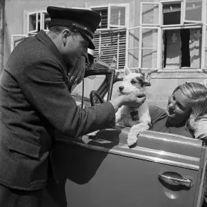 Young Woman Driving Car Prints: Freizeit