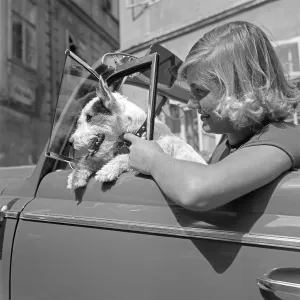 Young Woman Driving Car Prints: Freizeit
