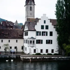 Bodensee Schwäne Print 1983
