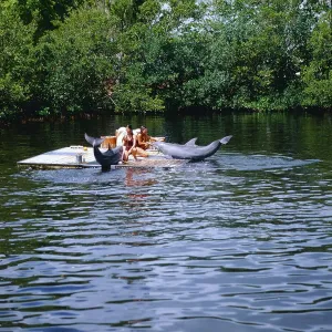 Florida Delfintrainerinnen Print, circa 1987