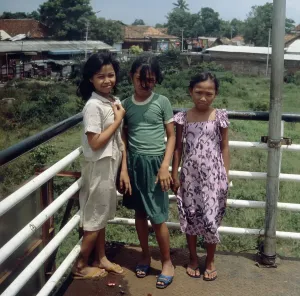 Java Print, Indonesia 1980s