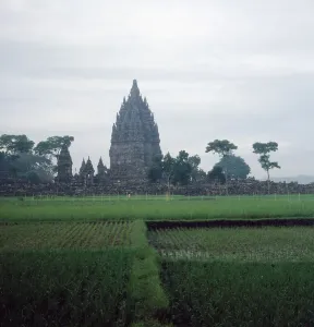 Print of the Prambanan Hindu temple complex on Java, Indonesia