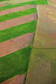 Agricultural Field Prints: An aerial view of patchwork of fields, on the plains of eastern Colorado