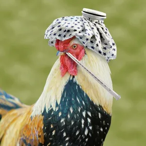 Avian Influenza Outbreak Prints: This Bird Has the Flu
