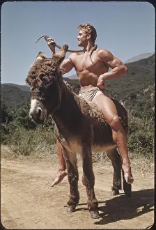 Vintage Bodybuilder Prints: Bodybuilder with Snake on Donkey c.1951