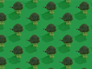 2021 Prints: Broccoli Print on Green Background