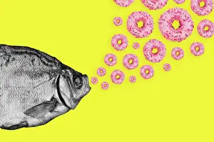 Collage Prints: Colored Background Print of Fish and Donuts Collage
