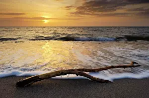 British Coastal Landscapes Prints: England, Devon, Westward Ho!