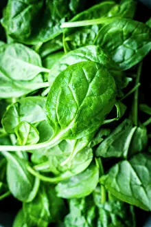 Vegetable Ingredients Prints: Fresh spinach