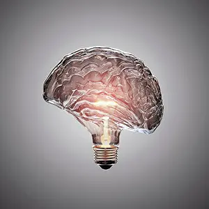 Prints of Human brain in shape of light bulb September Prints: Human Brain in Light Bulb Shape Print