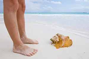 Images Dated 4th May 2012: Tulum Beach Print: Legs and Conch Shell
