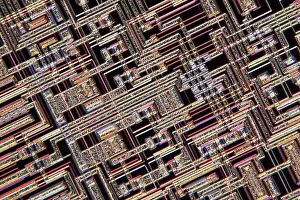 April Prints: Microchip Print, Light Micrograph