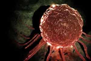 Biomedical Science Images Prints: Microscopic styled view of a stem cell