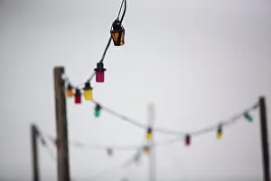 2015 Prints: Multicoloured String of Electric Lights Print