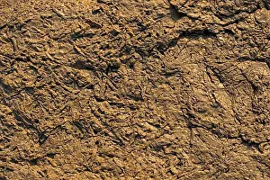Uninhabited Stone Landscape Prints: Natural rock or Stone surface as background texture