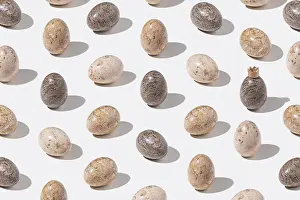 2021 Prints: Decorated Easter Eggs Print on Light Gray Background