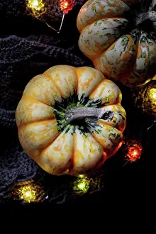 Dark Background Still Life Photography Prints: Pumpkin