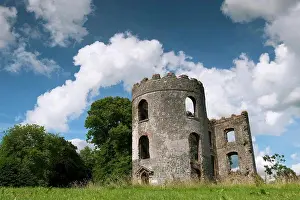Prints of Ruined castle tower on shore of Lough Neagh, Shane's Castle, County Antrim, Northern Ireland, July Castle Prints: Shane's Castle Tower Print, Lough Neagh Shore