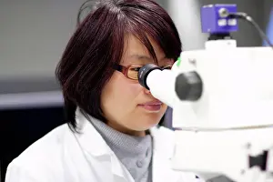 Laboratory Equipment Use Prints: Scientist using microscope in lab