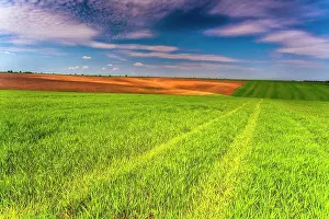 Landscape Photography In Europe Prints: Spring Fields - Fresh green field