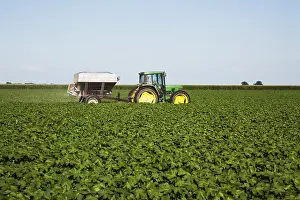 Agricultural Equipment Images Prints: Tractor-Pulled Bulk Fertilizer Application Broadcasting Urea Fertilizer (Source Of Nitrogen)