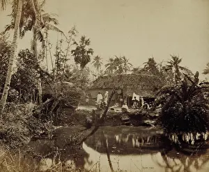 Victorian Era Photographs Prints: Untitled. Samuel Bourne (England)