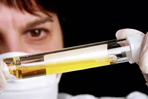 Prints of Urine samples September Prints: Urine Sample Print from SuperStock