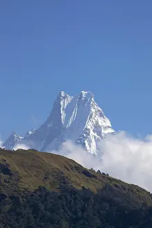 Prints of View of Fishtail mountain Machhapuchhare, from trail between Ghorepani and Tadapani, Annapurna Sanctuary Region, Himalayas, Nepal, Asia January Prints: Machhapuchhare Print, Annapurna Sanctuary Region