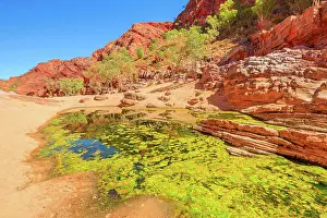 Red Centre Australia Prints: Viewpoint between Pound Walk