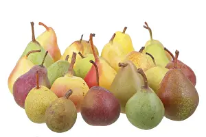 Plain Background Cutouts Prints: 24 different varieties of pears