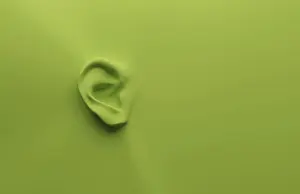 Green Background Image Prints: 3d rendering of an ear on a green background with space for your text or image